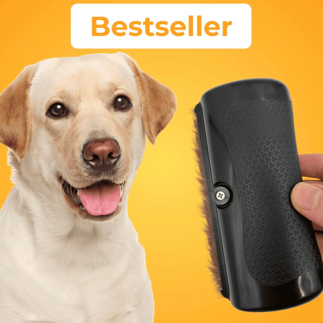 Hair Pro Groom ™ – Spazzola Districante Per La Toelettatura Di Cani e Gatti