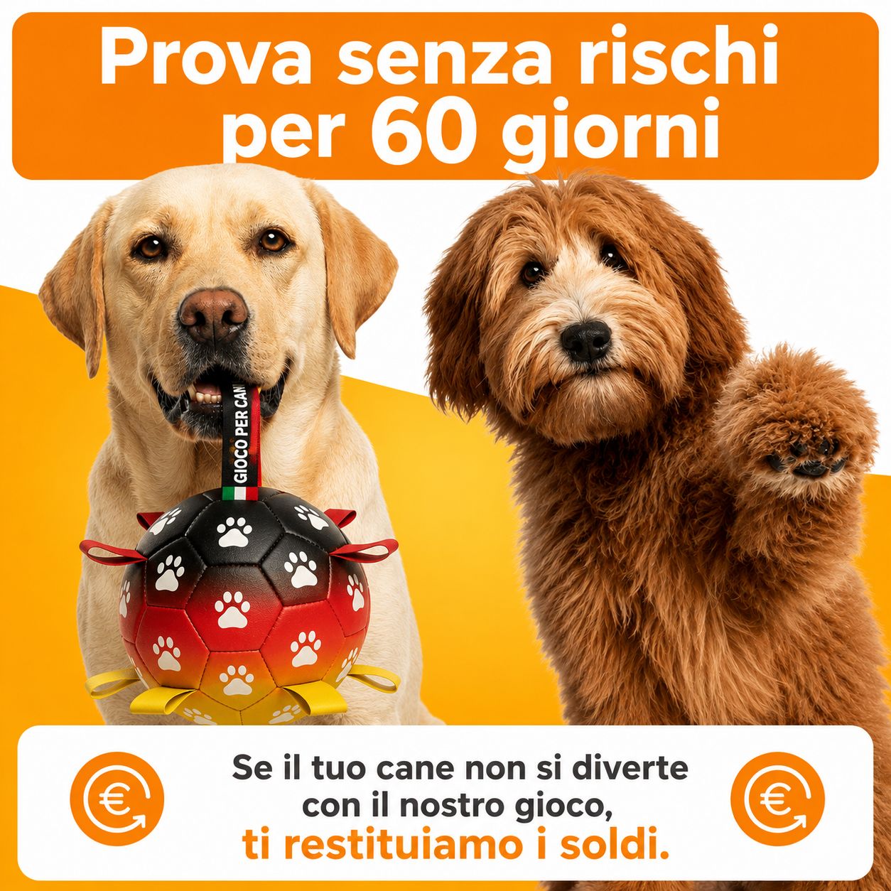 DogBall™ – Palla Interattiva per Cani