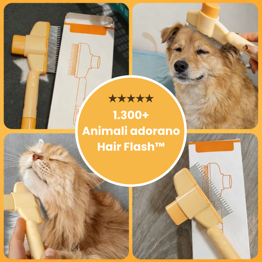 Hair Flash™  – La spazzola autopulente per peli